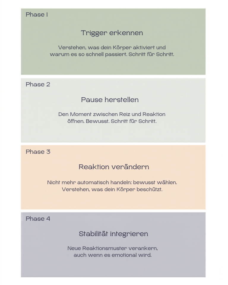 Phase 1 — Trigger erkennen Du lernst, was deinen Körper aktiviert — und warum. Nicht um dich zu analysieren, sondern um den Mechanismus zu kennen der dich steuert. Phase 2 — Pause herstellen Den Raum zwischen Reiz und Reaktion öffnen. Einen Moment, der vorher nicht da war. Das reicht. Phase 3 — Reaktion verändern Nicht mehr automatisch handeln — sondern in diesem Moment bewusst wählen, wie du reagierst. Phase 4 — Stabilität integrieren Das neue Muster im Alltag verankern — sodass es trägt, nicht nur in ruhigen Momenten.